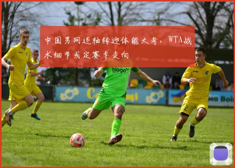 中国男网连轴转迎体能大考，WTA战术细节或定赛季走向